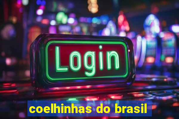 coelhinhas do brasil