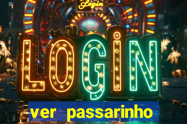 ver passarinho morto significado espiritual