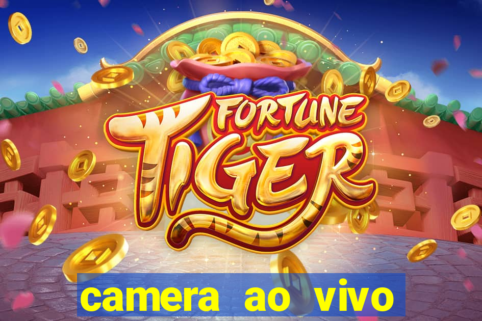 camera ao vivo porto de galinhas