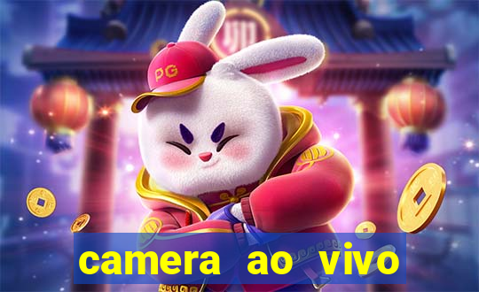 camera ao vivo porto de galinhas