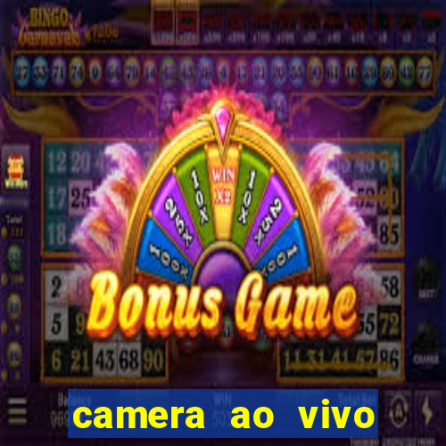 camera ao vivo porto de galinhas