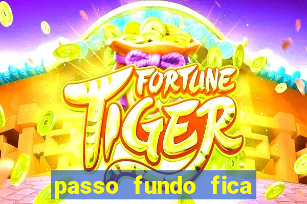 passo fundo fica perto de qual cidade