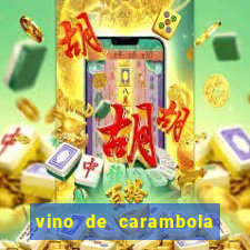 vino de carambola stardew valley