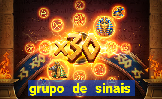 grupo de sinais fortune rabbit