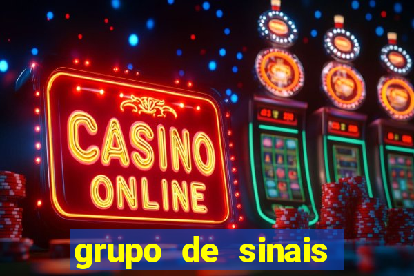 grupo de sinais fortune rabbit
